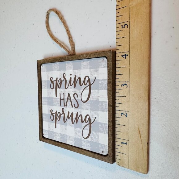SPRING HAS SPRUNG small wood sign AND Easter Bunny springtime tiered tray decor - Picture 9 of 15